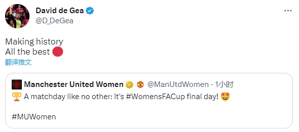 曼联女足迎来足总杯决赛，德赫亚社媒：创造历史，祝一切顺利
