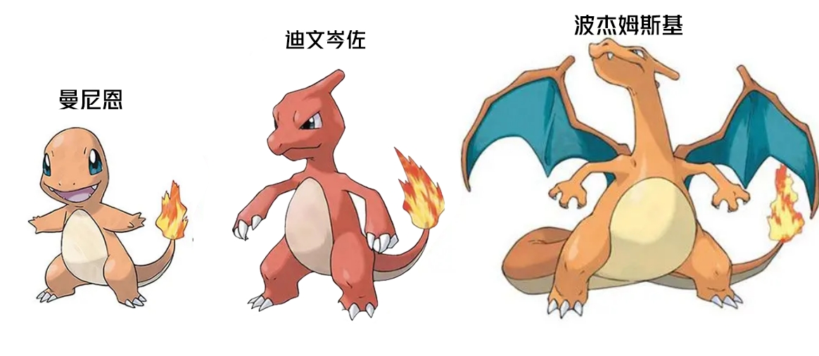两种版本！金州小火龙进化路线图