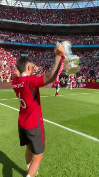 利桑德罗马丁内斯高举奖杯，与球迷一起庆祝