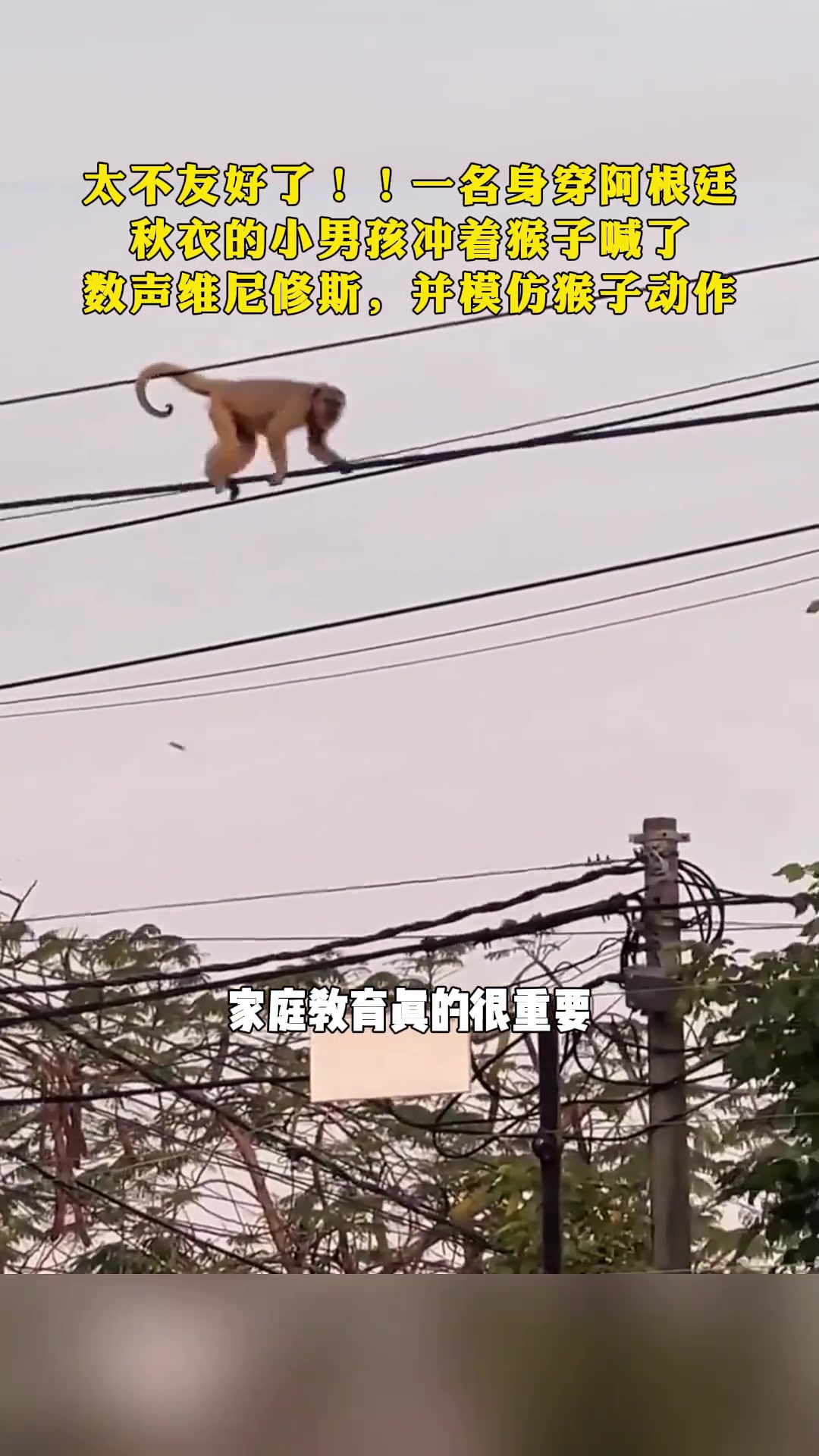 这也太不友好了！小孩身着梅西球衣对着猴子高喊维尼修斯