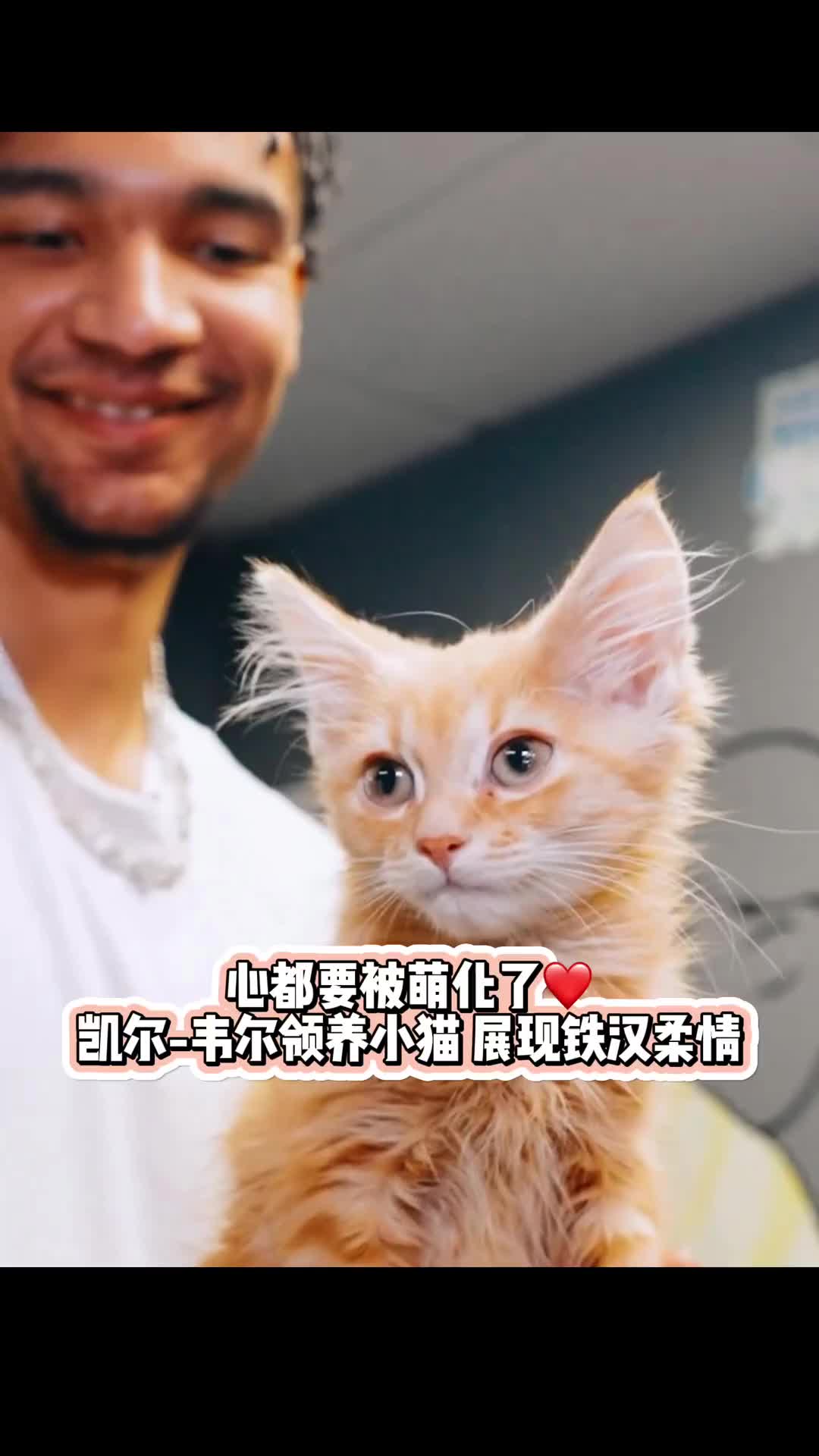 小猫太可爱了！热火新秀韦尔收养小猫！