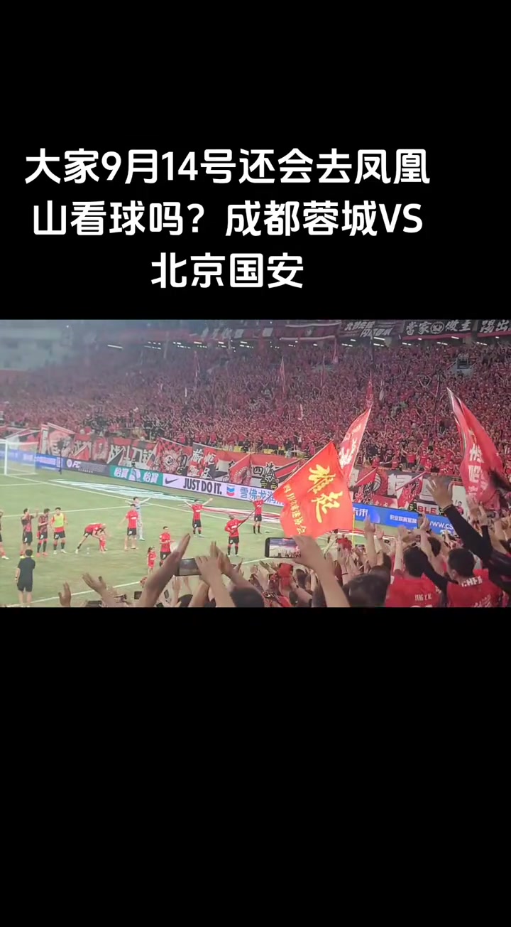 我们为什么要去看球是简单的热爱还是短暂的逃避