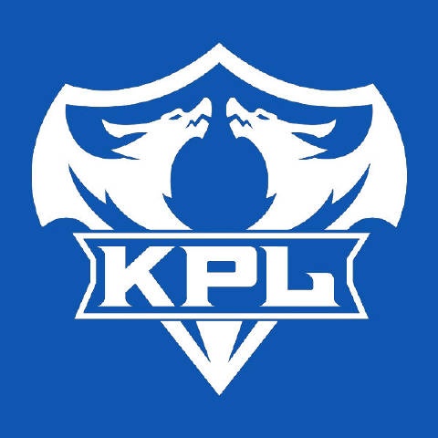 KPL官方：因服务器故障狼队vsRW侠第一局比赛重赛！