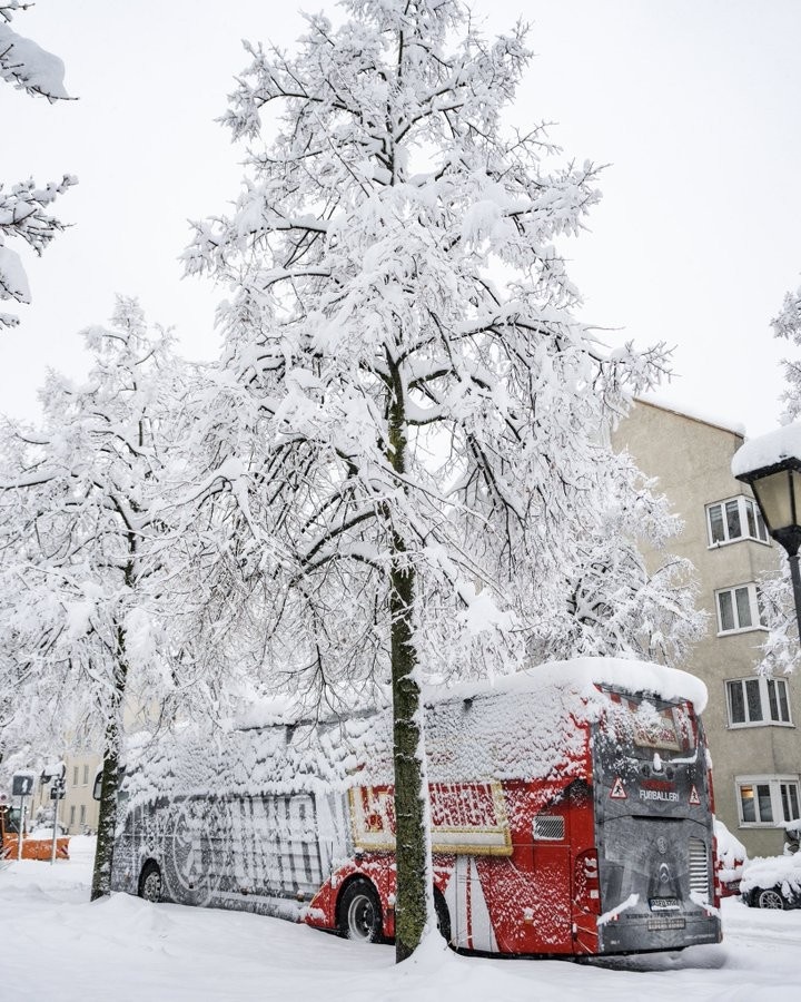 拜仁比赛延期！慕尼黑大雪压断树枝，柏林联合大巴被白雪覆盖
