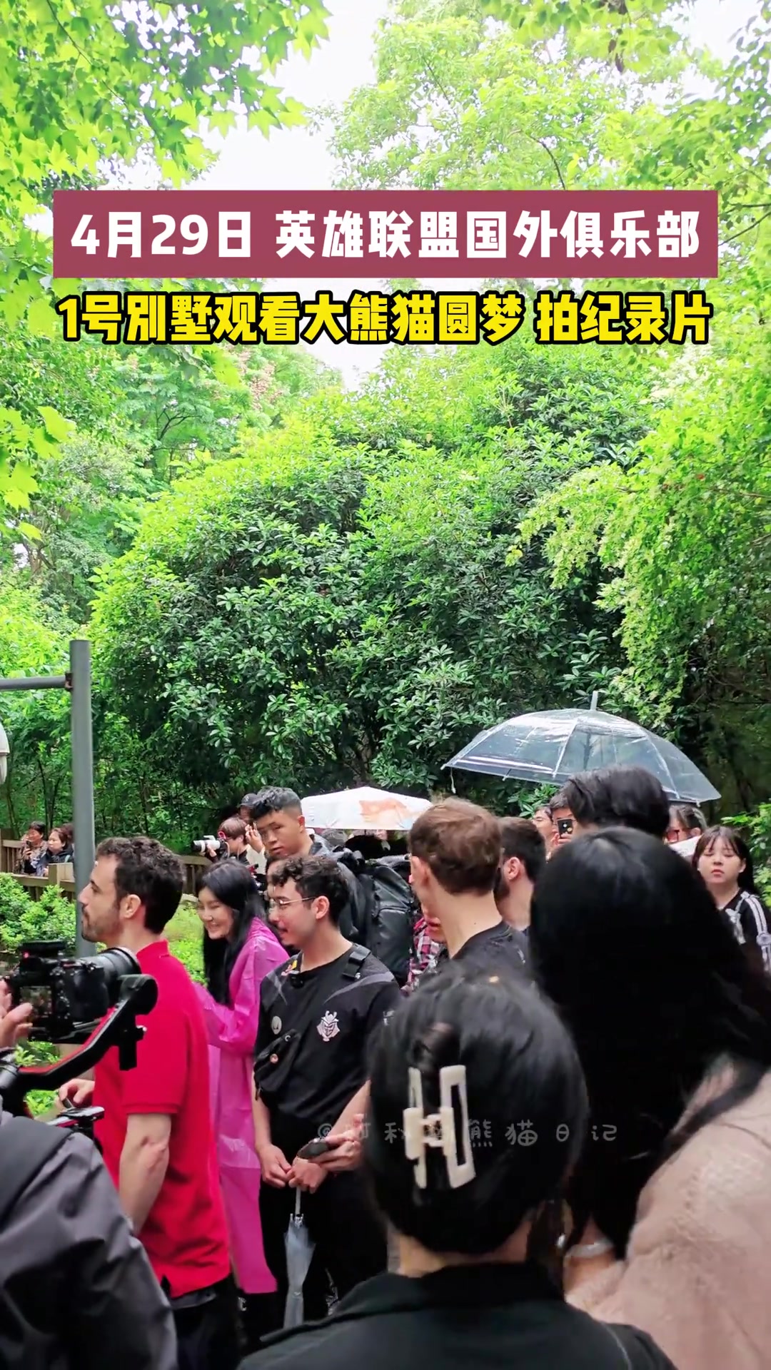 网友分享G2选手们到成都后，观看大熊猫的现场视频