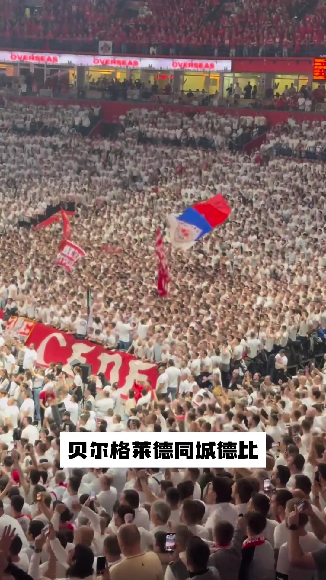 塞尔维亚篮球有多疯狂感受一下贝尔格莱德德比的现场气氛
