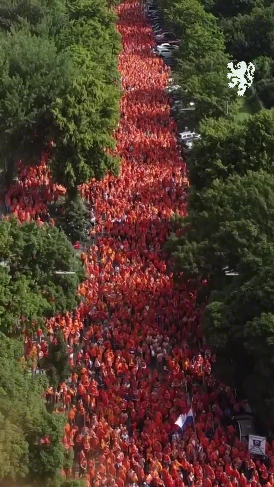 太壮观了！荷兰球迷在德国组成了橙色海洋！