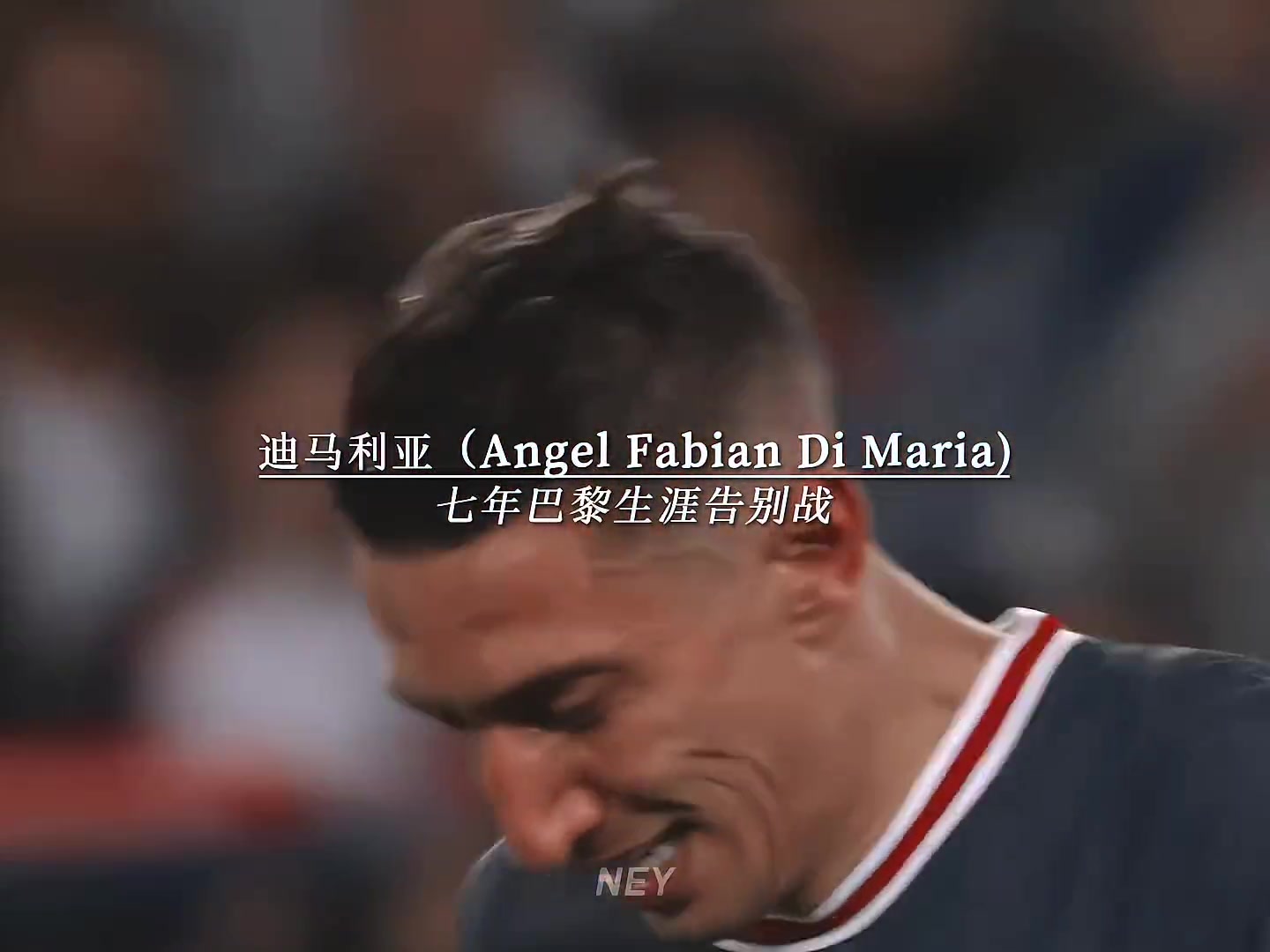 整个王子公园球场都在呼唤着你的名字，DiMaria！！！