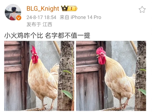 爆BLG瓦knight疑似阴阳FPX：小火鸡咋个比名字都不值一提